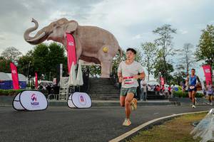 BIB: 
                            <button type="button" onclick="openModal(26528470)" class="btn btn-primary btn-sm float-right btn-popup" data-toggle="modal" data-target=".modal-high-quality">
                        <i class="fas fa-shopping-cart"></i> Add to Cart
                    </button>
                                            <button type="button" onclick="isThisMe(26528470, true)" class="btn btn-success btn-sm float-right btn-popup btn-isme hidden" data-toggle="tooltip" data-placement="bottom" title="นี่คือรูปของคุณใช่ไหม คลิกที่นี่เพื่อเอาเข้าอัลบั้ม">
                        <i class="fas fa-plus"></i> Add to album
                    </button>
                    <button type="button" onclick="isThisMe(26528470, false)" class="btn btn-warning btn-sm float-right btn-popup btn-isnotme hidden">
                        <i class="fas fa-ban"></i> Remove from album
                    </button>